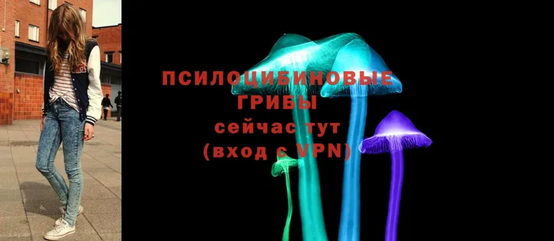 Галлюциногенные грибы MAGIC MUSHROOMS  где купить наркоту  Сим 